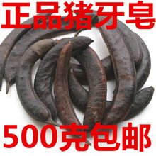 厂家直销中药材 猪牙皂 500g 皂角、皂荚、牙皂、皂荚、鸡栖子、