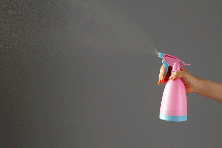 园艺浇花小喷壶多肉植物喷水壶家用手压式喷雾瓶塑料洒水壶喷壶