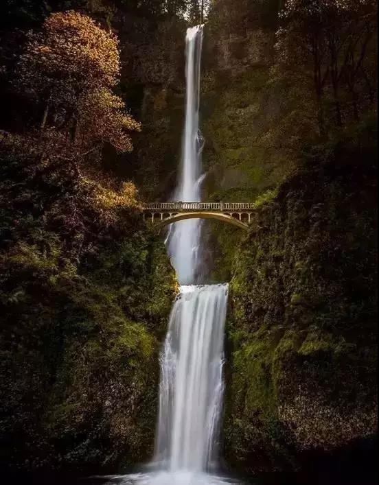 你站在桥上看风景, 看风景的人在楼上看你.