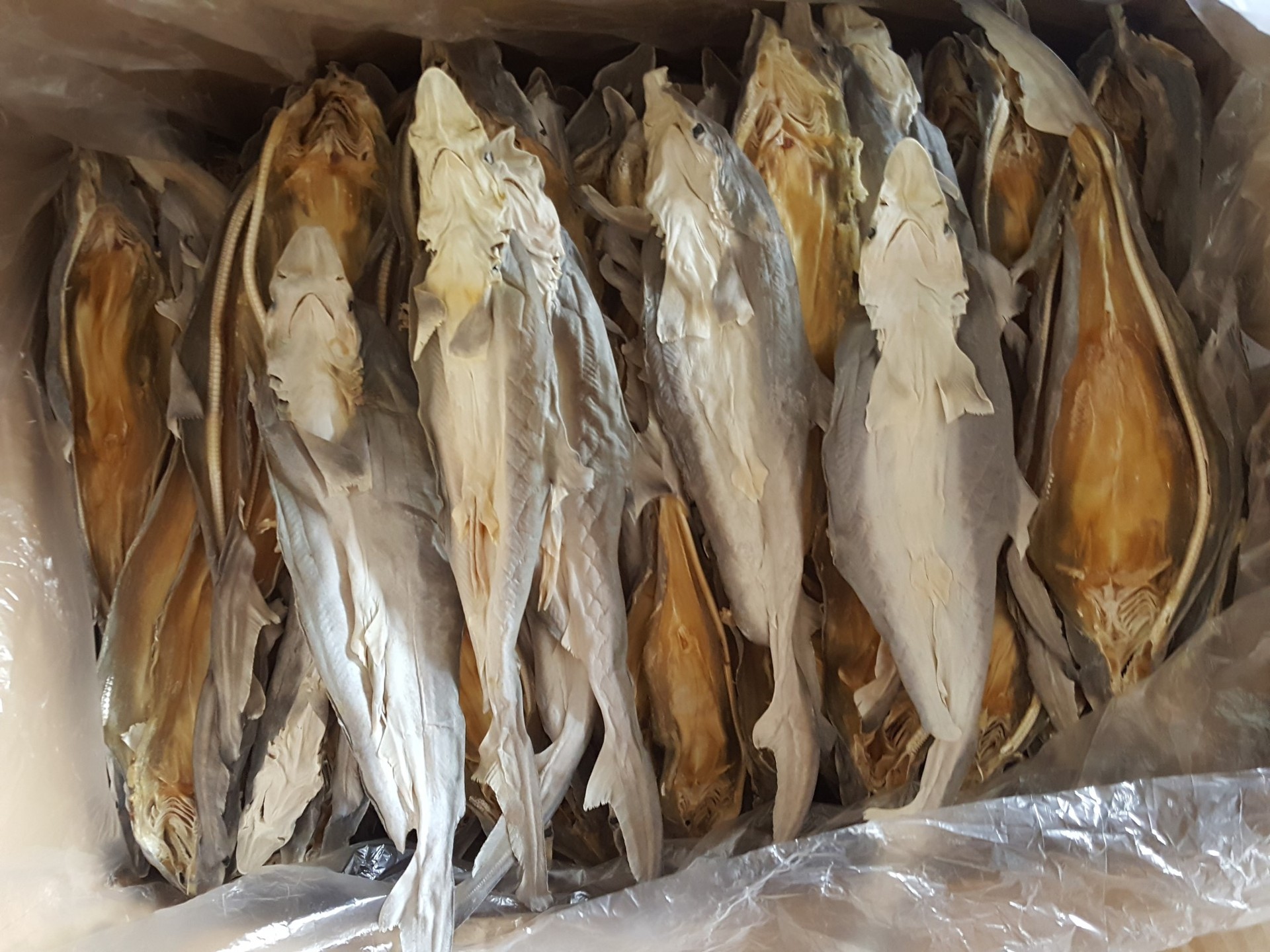 跑江湖地摊鱼干 小沙鱼仔 去鲨 海鲜干货 15斤一箱 13-16条左右