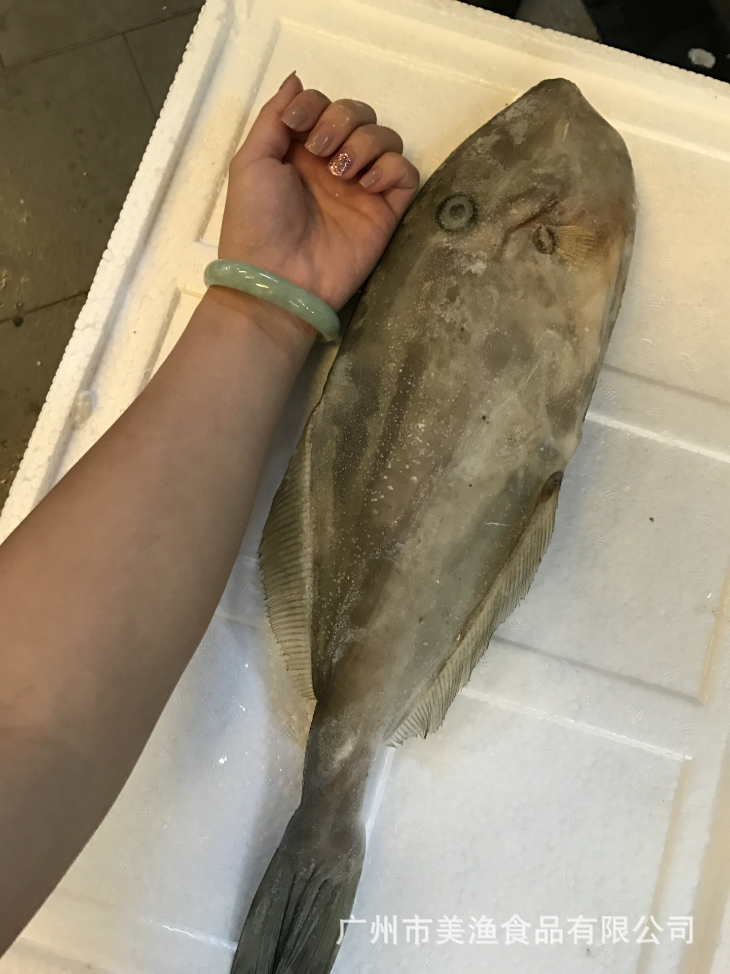 冷冻单冻马面鲀 扒皮狼 剥皮鱼 面包鱼耗儿鱼 剥皮牛700-1000g/条