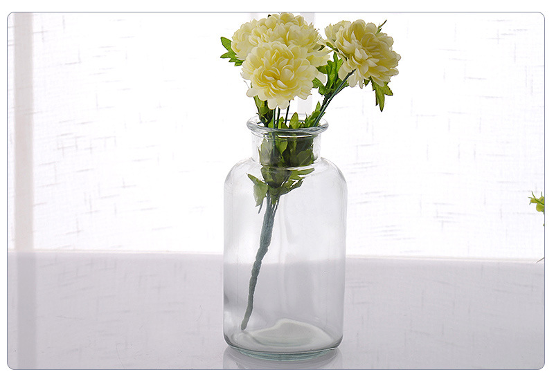 厂家供应玻璃广口瓶试剂瓶,花瓶透明花瓶水培花瓶装饰瓶