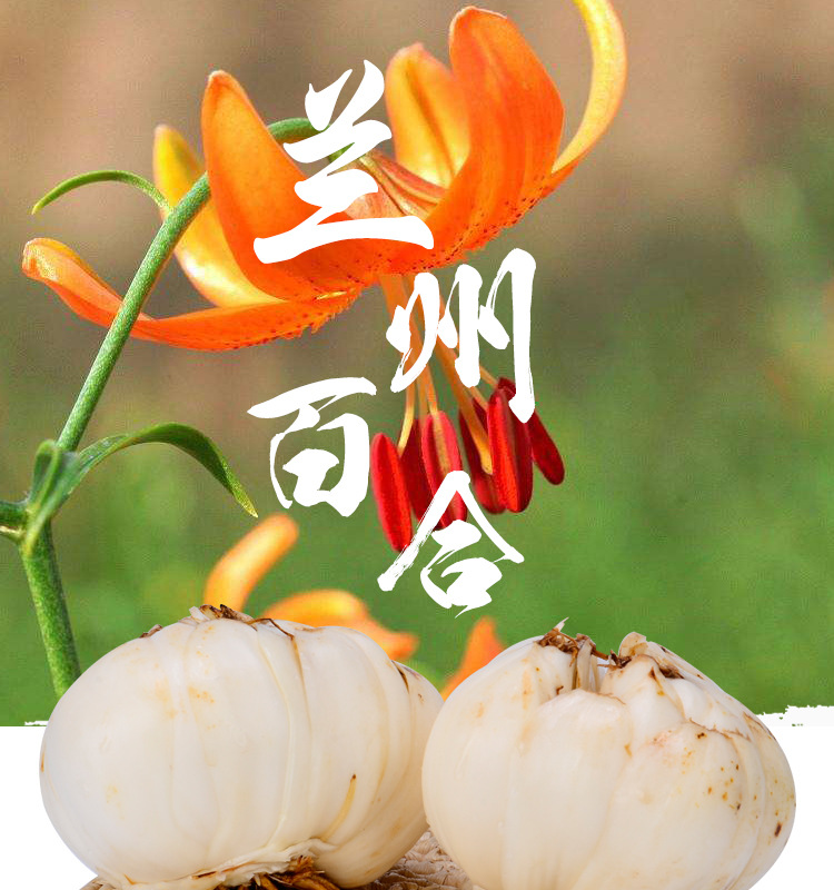 甘肃特产兰州百合500g 2017新货无硫散装四头食用甜百合 产地直销