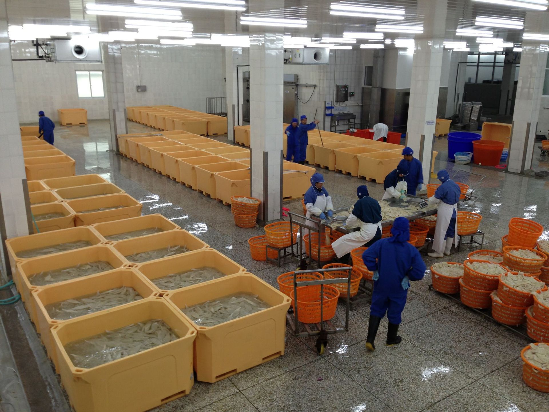 300l水产海产品加工食品周转车间和运输使用保温箱