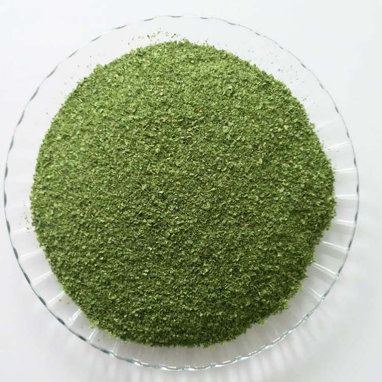 翠绿色海藻粉 纯天然无添加 海藻粉 宠物用