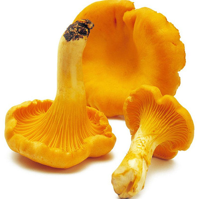 请输入验证码以便正常访问