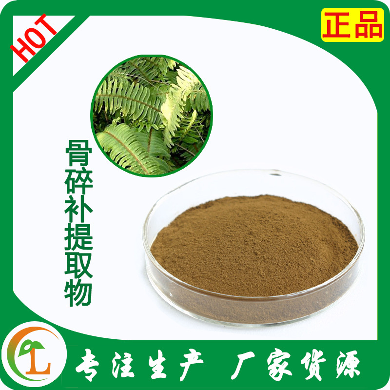 骨碎补提取物 20:1比例 骨碎补纯粉 另有其它规格 现货包邮