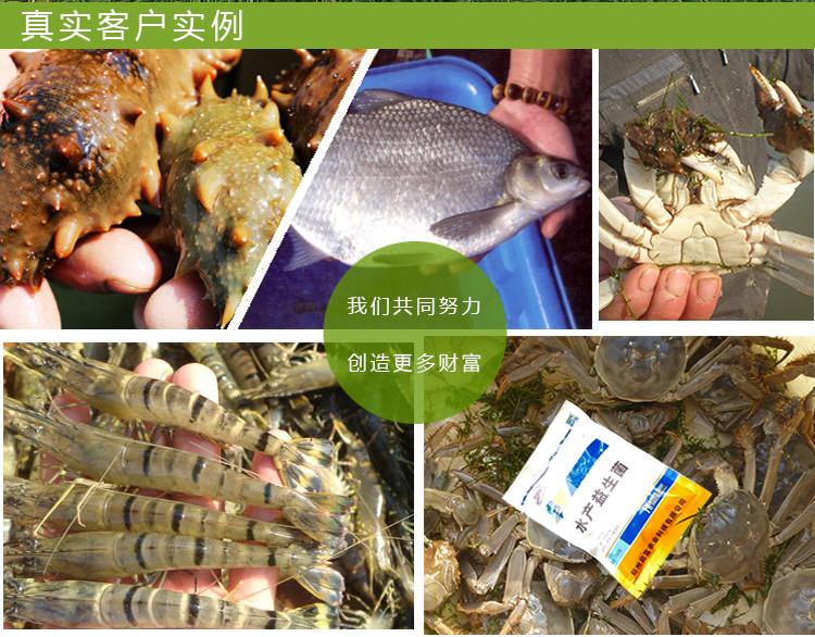 水產(chǎn)益生菌