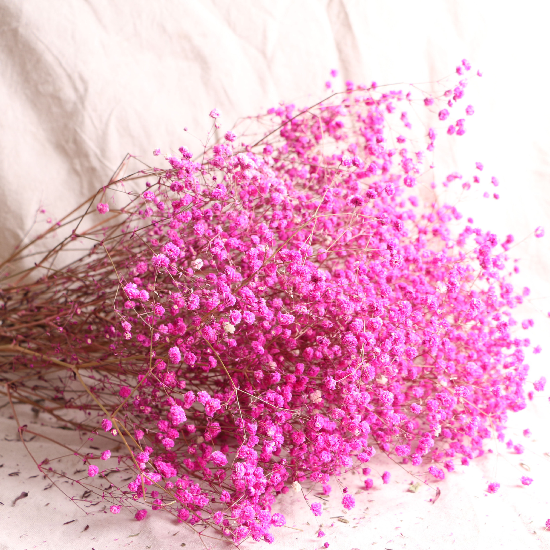 跨境专供批发满天星干花家居配花装饰花diy彩色满天星干花花束