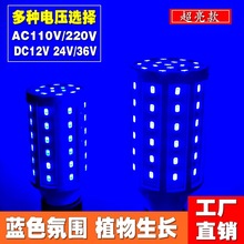 高亮蓝光LED玉米灯泡植物生长灯12V24V36V48V60V110V220V工厂货源