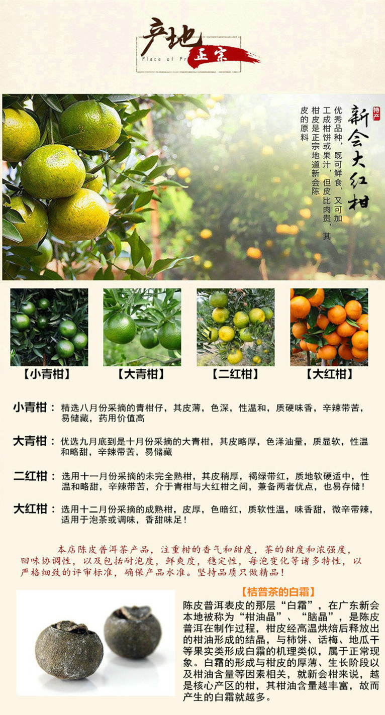 新会陈皮普洱小青柑 500克 陈年宫廷熟普 柑普茶 口感纯正