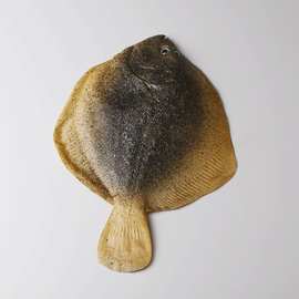 pu仿真多宝鱼海鲜假鱼鳊鱼鲳鱼启蒙早教道具饭店摆件批发