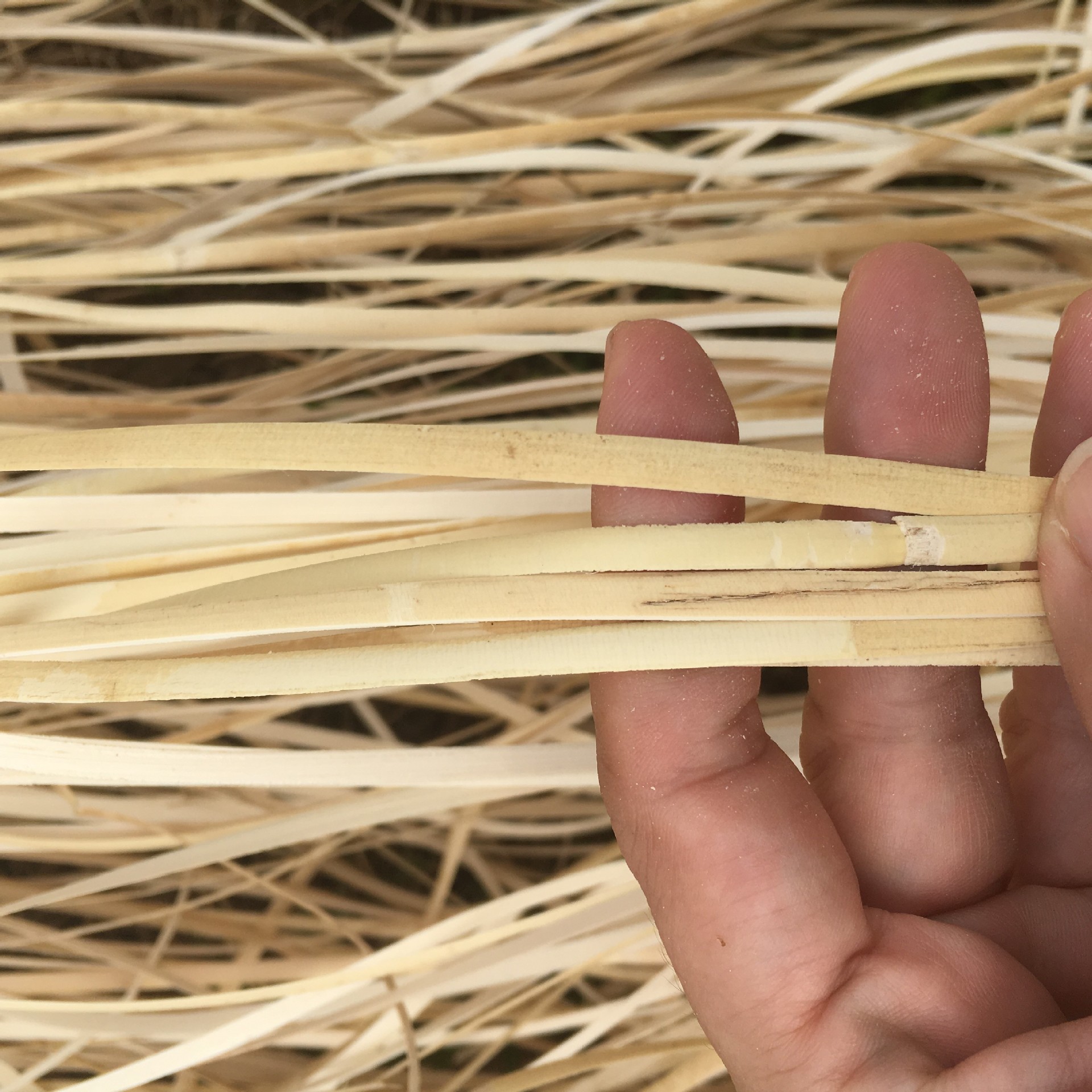 【源头工厂】直销天然印尼香薰藤条藤编材料藤芯香水藤-询价-阿里巴巴