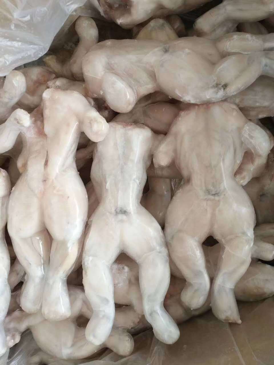 广州发货 冷冻牛蛙 三去牛蛙 食用牛蛙18斤/箱 净重10斤