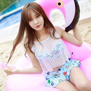 2017新款韩版温泉女泳装 韩国分体裙式平角比基尼三件套套游泳衣