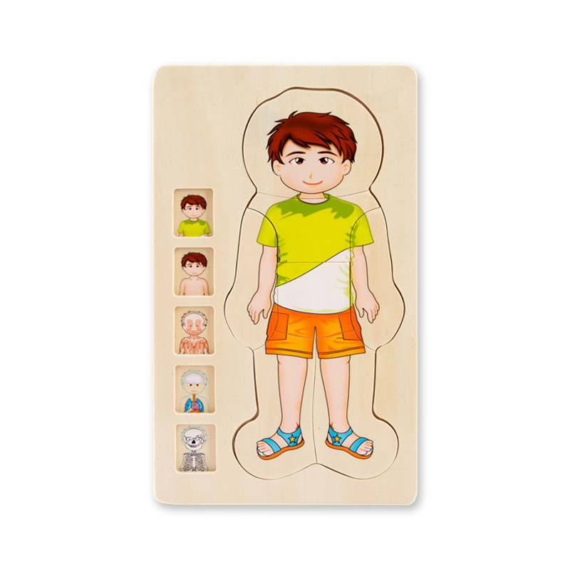 onshine 五层男女孩人体结构拼图儿童身体认知启蒙教育木质拼图