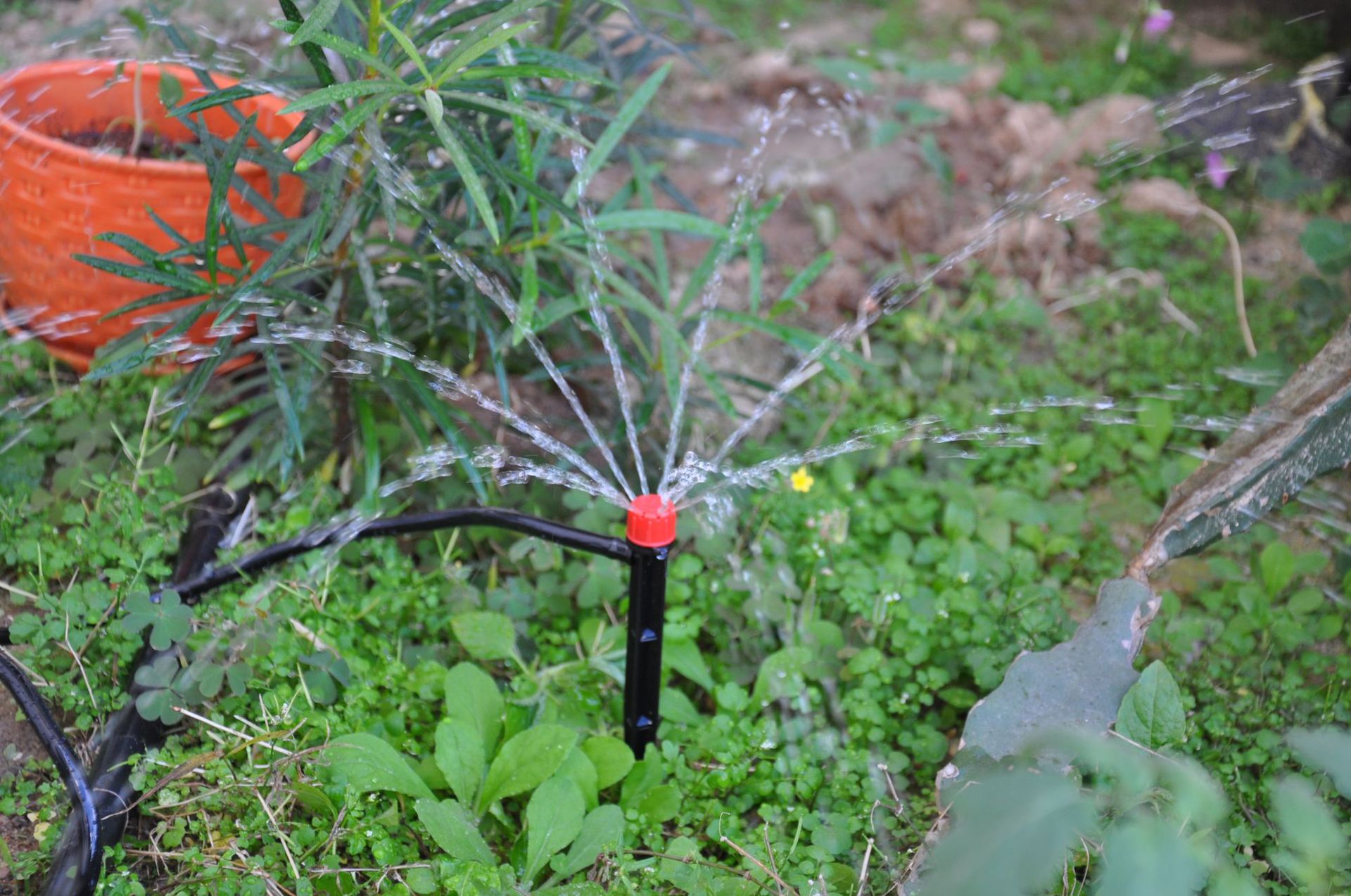 头带地插杆_头带地插杆,可调式地插滴头 园林园艺滴头 - 阿里巴巴