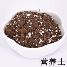 进口泥炭土小包通用土多肉土多肉植物营养土专用土绿萝种植土批发