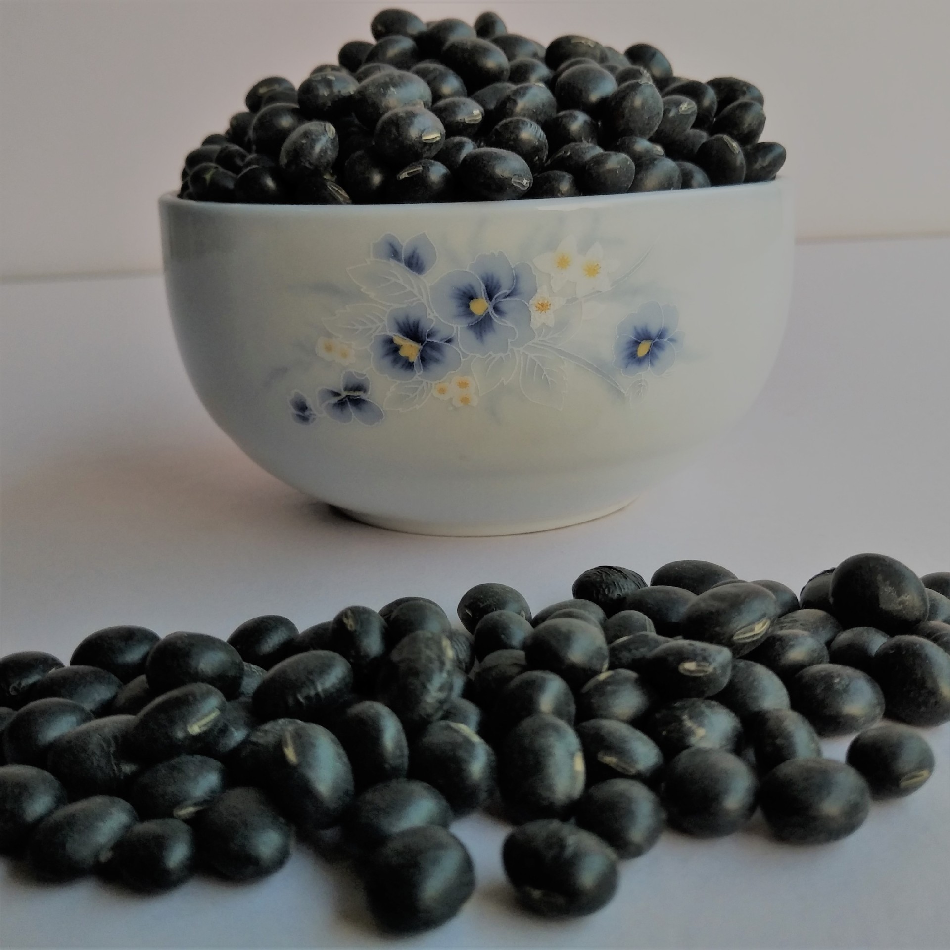 当年收江苏青仁乌豆 (黑豆)精选黑豆 批发零售 量大更优惠