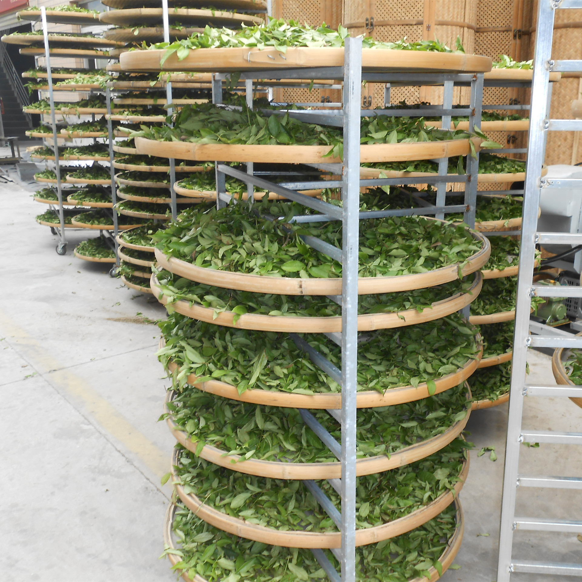 直销不锈钢茶网筛食品柑普晾晒烘干机筛烘焙机烘盘茶叶凉青摊青筛