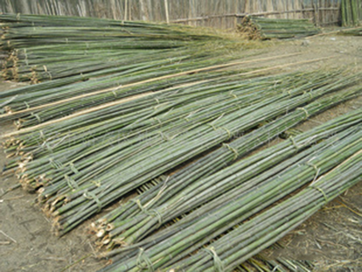 厂家供应 竹架板 竹跳板 建筑工地 蔬菜大棚 可定制