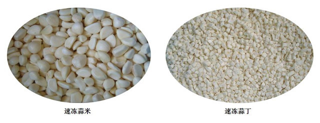 蒜丁速冻生产线 蒜丁加工设备 大蒜加工设备