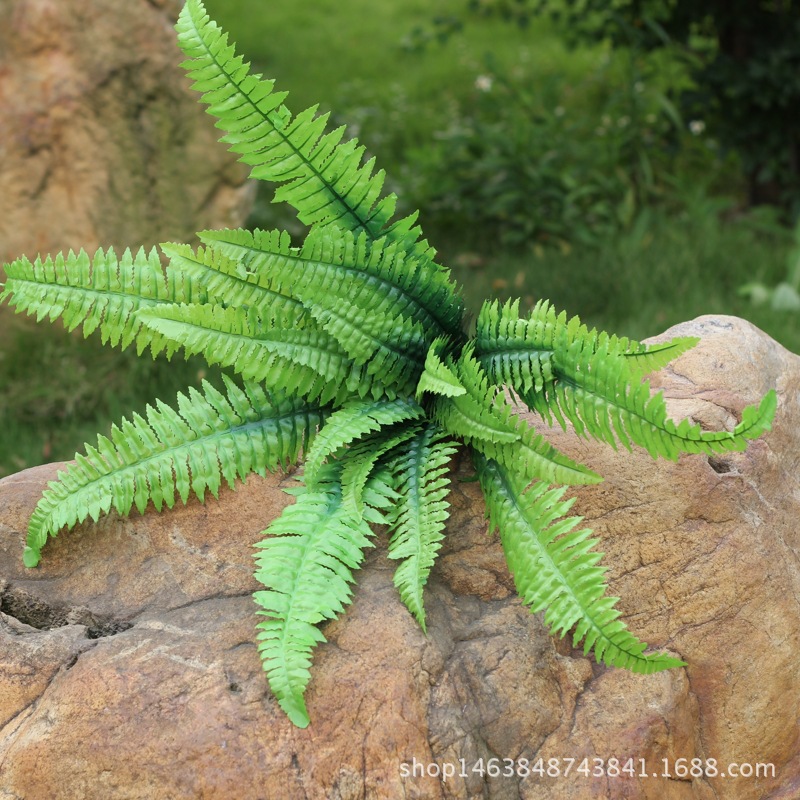 现货批发 仿真18头波斯草 婚庆布景装饰仿真植物波斯叶排草