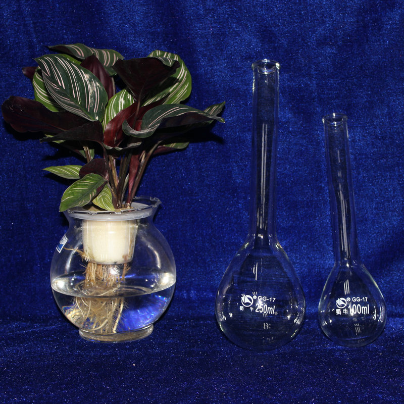 蜀牛长颈定氮烧瓶150ml200ml500ml长颈圆底烧瓶茄形烧瓶规格定制