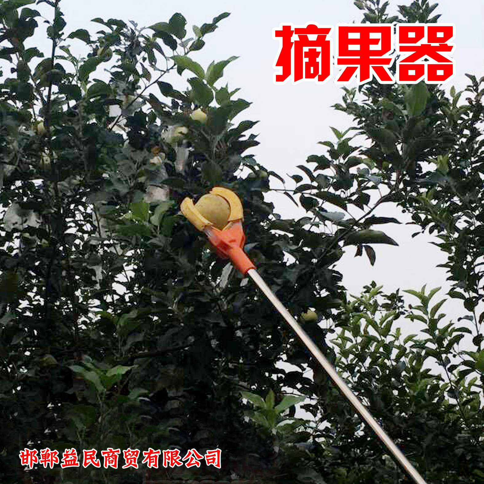 7米高空摘果器摘果杆三爪采果杆水果采摘器摘苹果桃梨厂家直销
