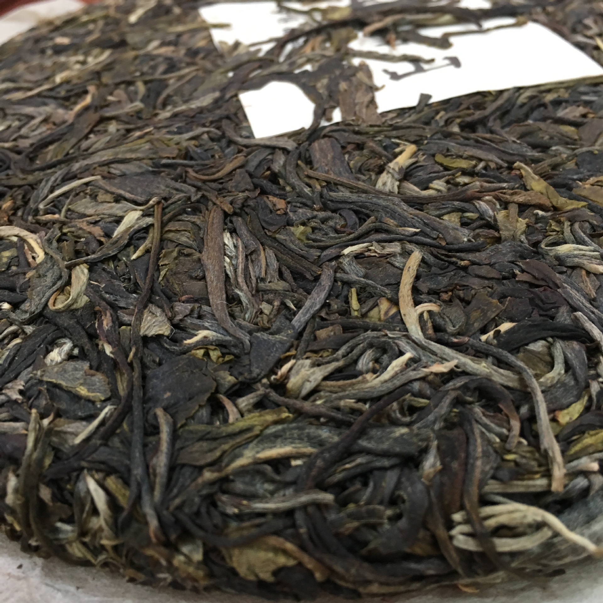 云南普洱茶2015年古茗新韵临沧大雪山普洱生饼普洱七子饼 生普