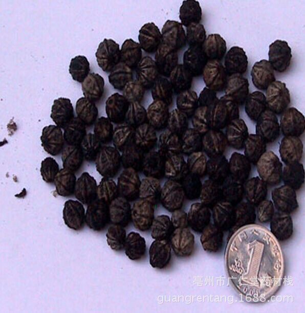 紫茉莉花子茉莉花籽量大从优种子可种植可打粉中药材批发冷背奇名