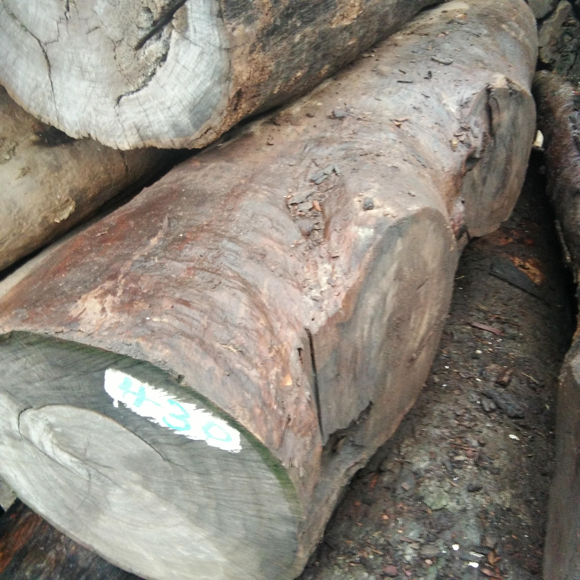 张家港木材 皮灰板材 莫桑比克 红贵宝 价格优惠