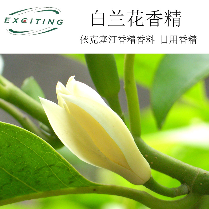依克塞汀 厂家直销 化妆护肤品香精 日化工业用香料 白兰花香精