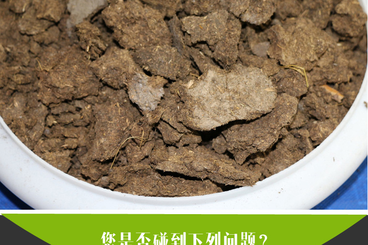河北厂家直销干牛粪发酵腐熟牛粪块状生物有机底肥价格可议