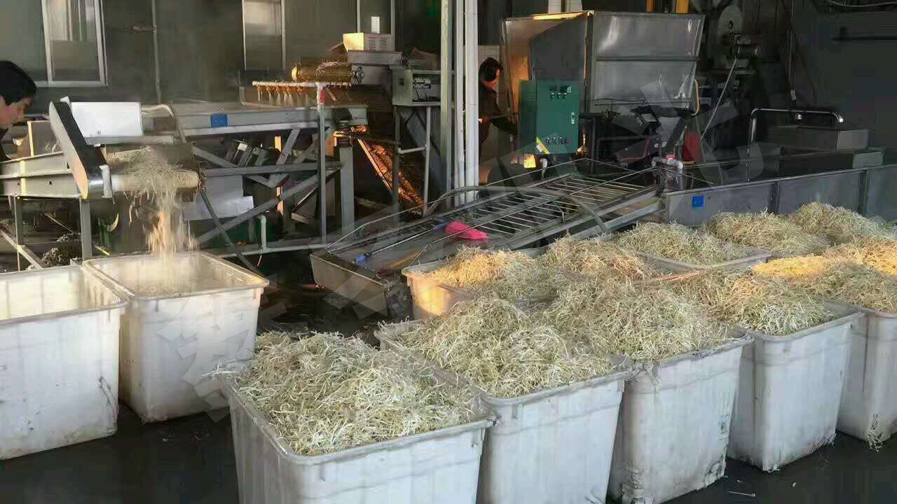 豆芽生产线 全自动豆芽淋水设备厂家 种子发芽机 豆芽去皮机