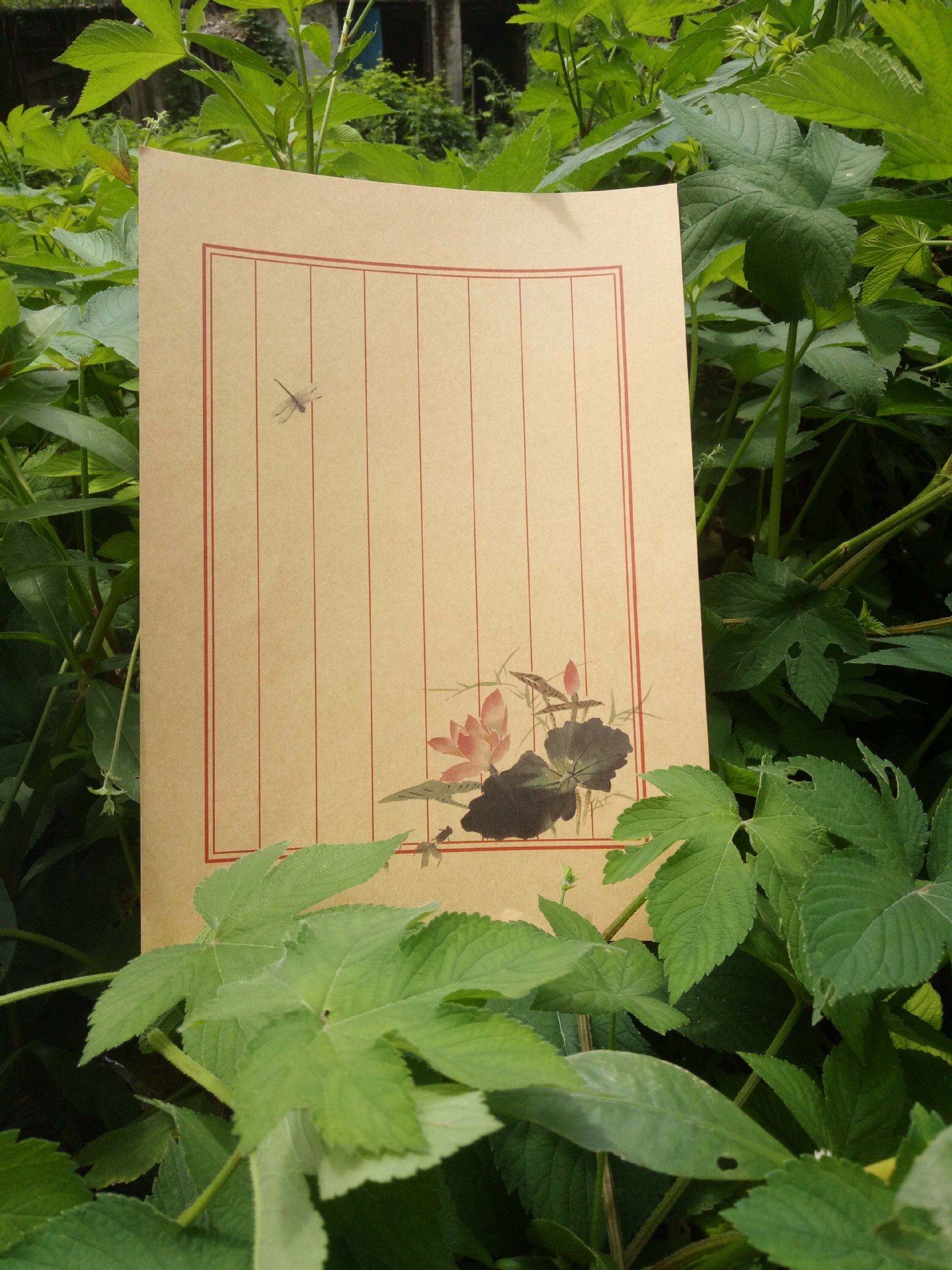 中国古风牛皮纸白纸复古水墨画信纸 一套8张入