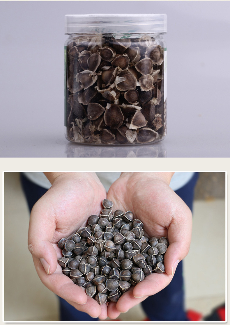 100克印度辣木子批发 非洲辣木籽 天然精选大颗粒一件代发 微商