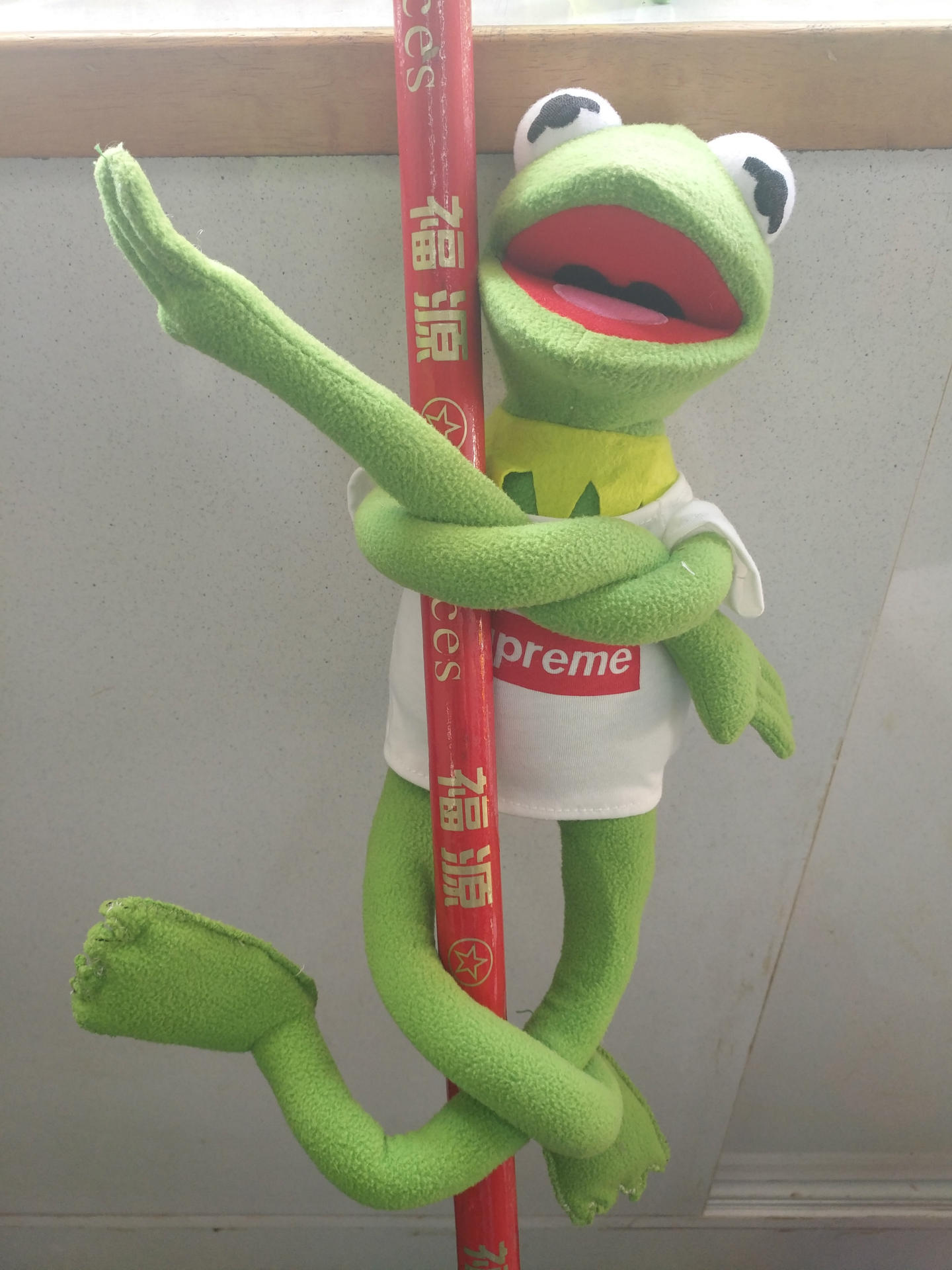 现货supreme青蛙公仔芝麻街科密特青蛙kermit 科米蛙生日礼物