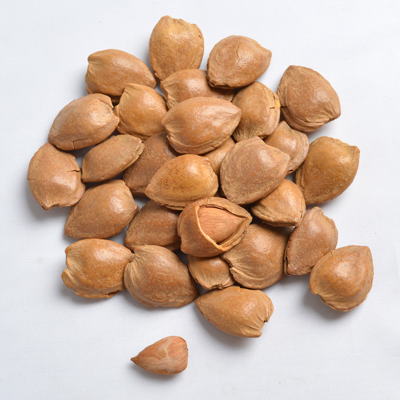 精选新疆小白杏 开口杏核小银杏核 小白杏坚果干果 500gx2 包邮