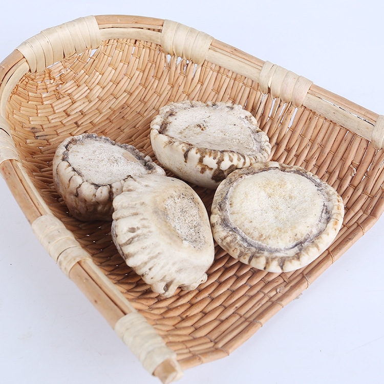 吉林特产鹿产品批发鹿茸鹿角鹿角帽鹿托盘双阳鹿乡鹿推盘粉批发