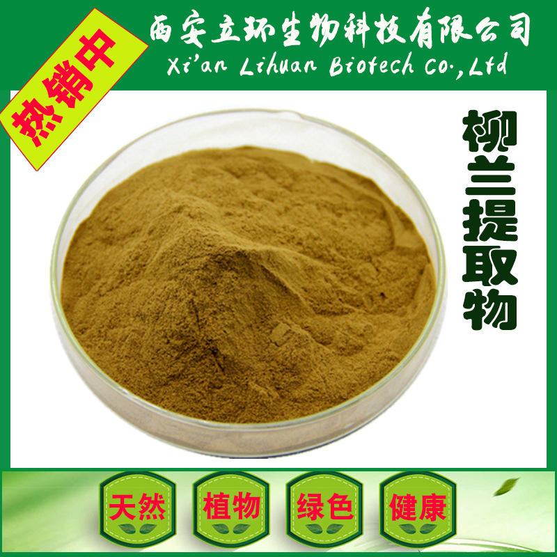 柳兰提取物 柳兰提取粉 20:1比例萃取 现货供应 品质保证
