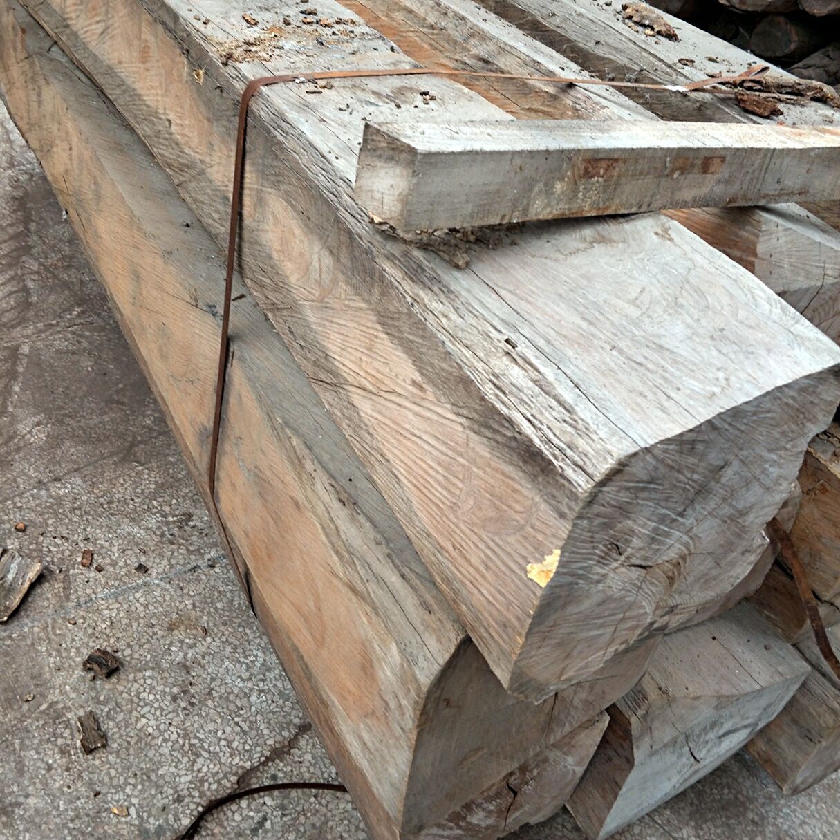 现货供应 黄金木 原木 黄金檀原木 非洲黄花梨 张家港广润木业