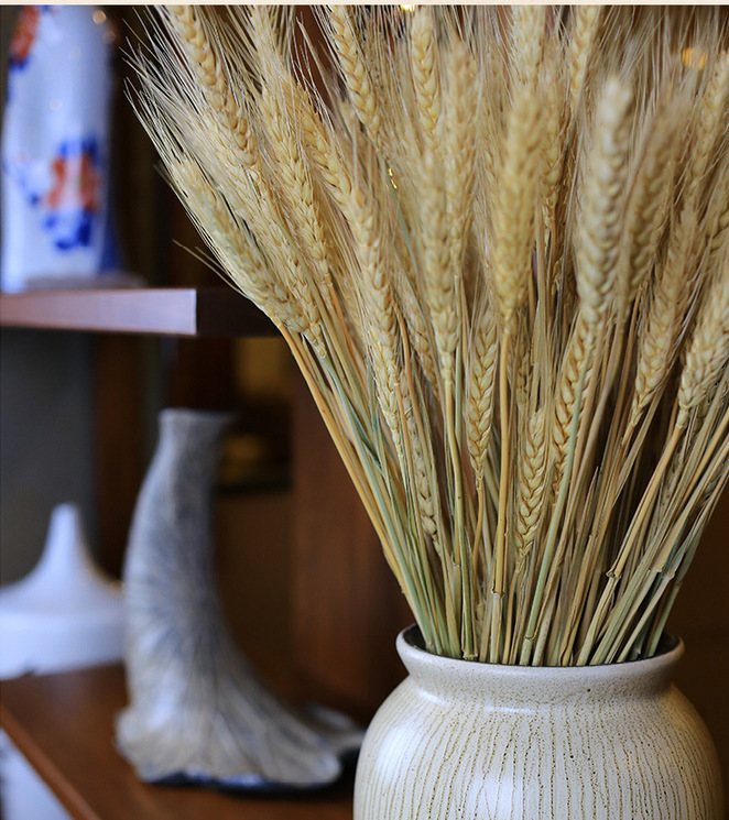 跨境热销大麦干花麦穗干枝丰收农家乐花店真麦子干花原生态真小麦