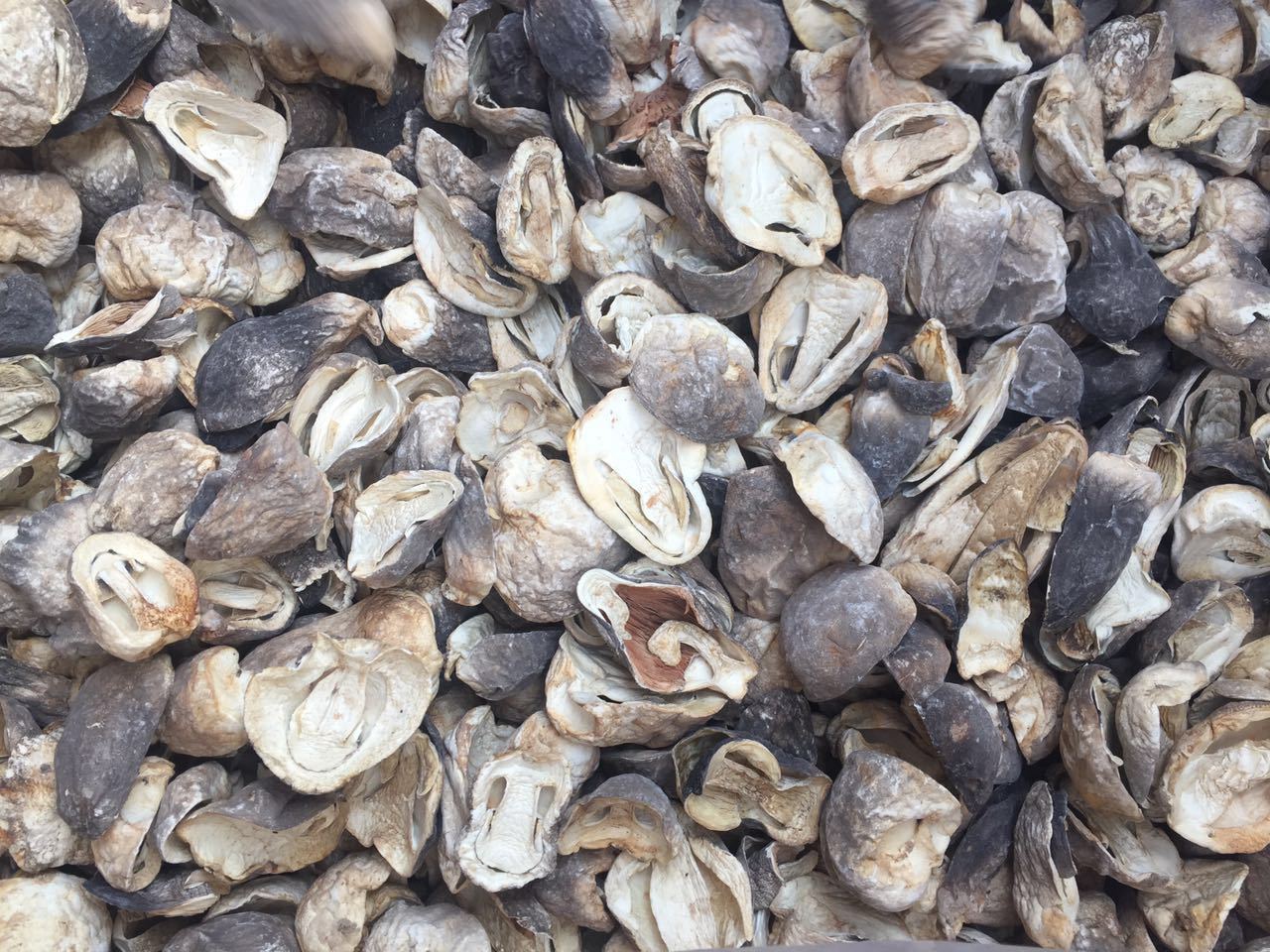 精选优质切片草菇批发 散装草菇500g