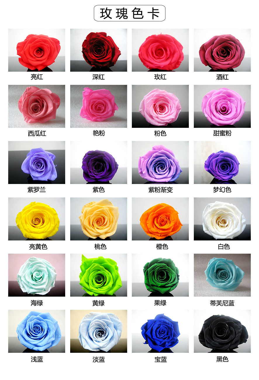 一件代发库存尾货永生花单支玫瑰 15厘米枝干 4-5厘米玫瑰花头 10