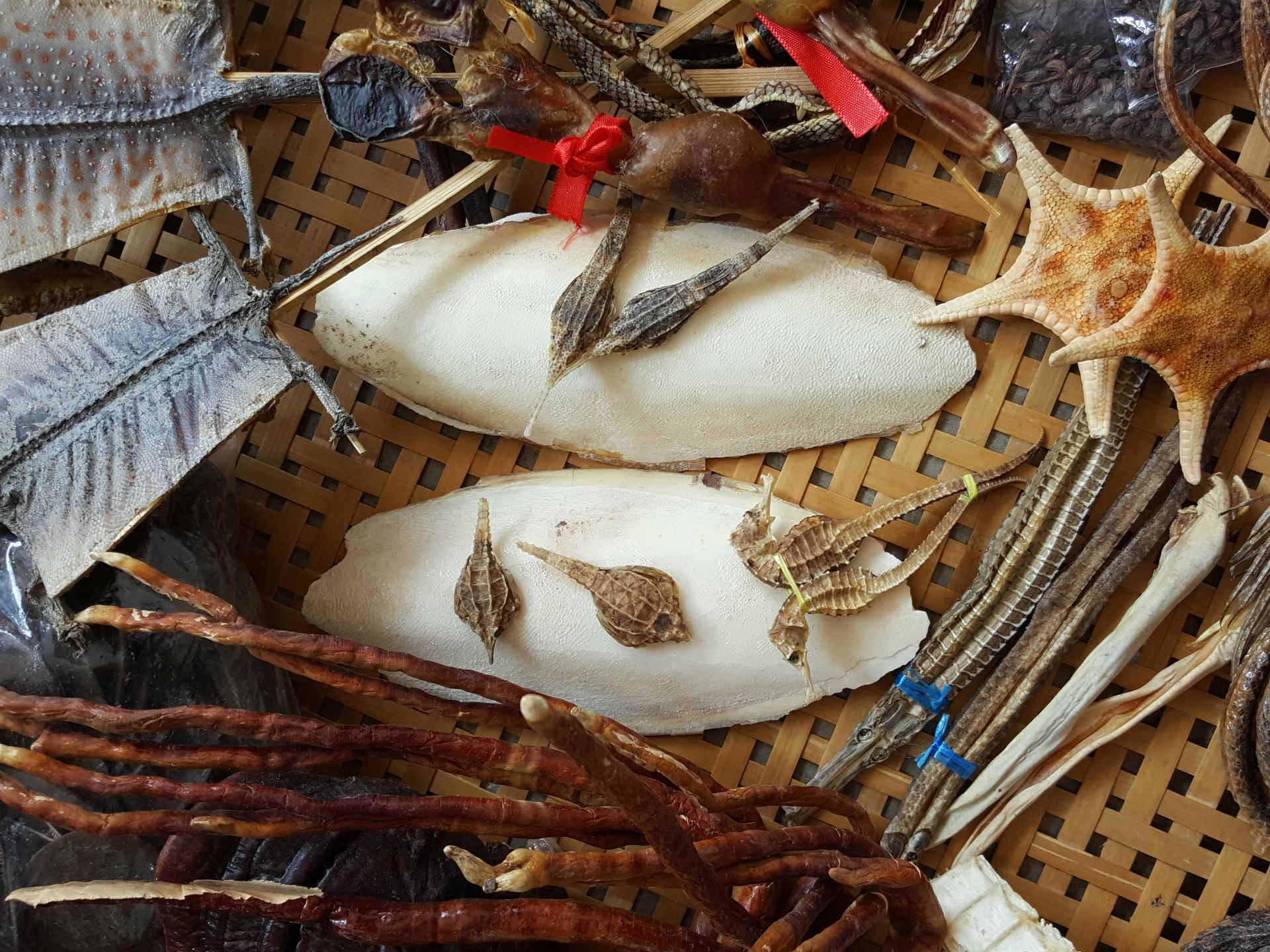 阿里巴巴批发北海海宝中药养生泡酒产品 齐全海产品1000g/包