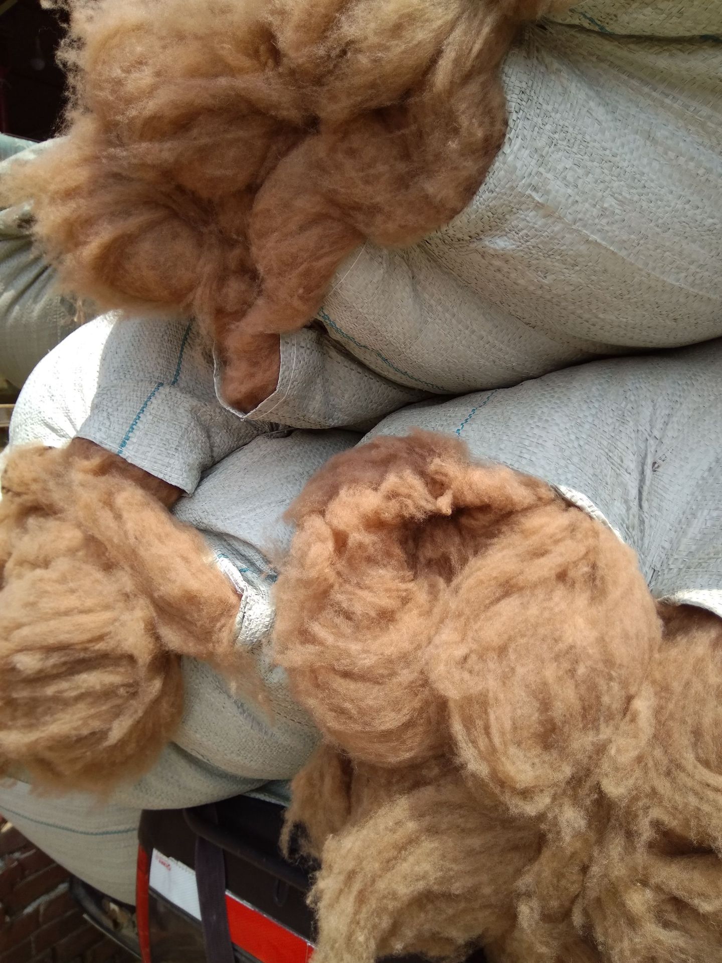 产地货源精梳水洗驼绒原料驼绒被填充物