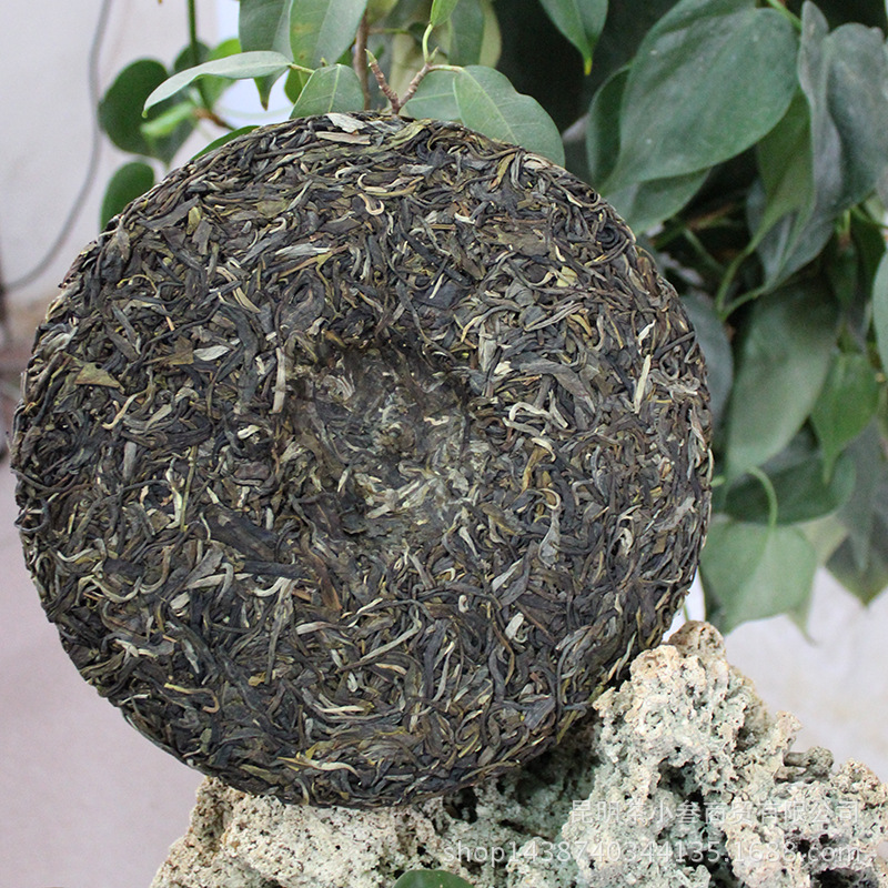大户赛古树纯料普洱茶茶饼2016年云南普洱茶七子饼茶