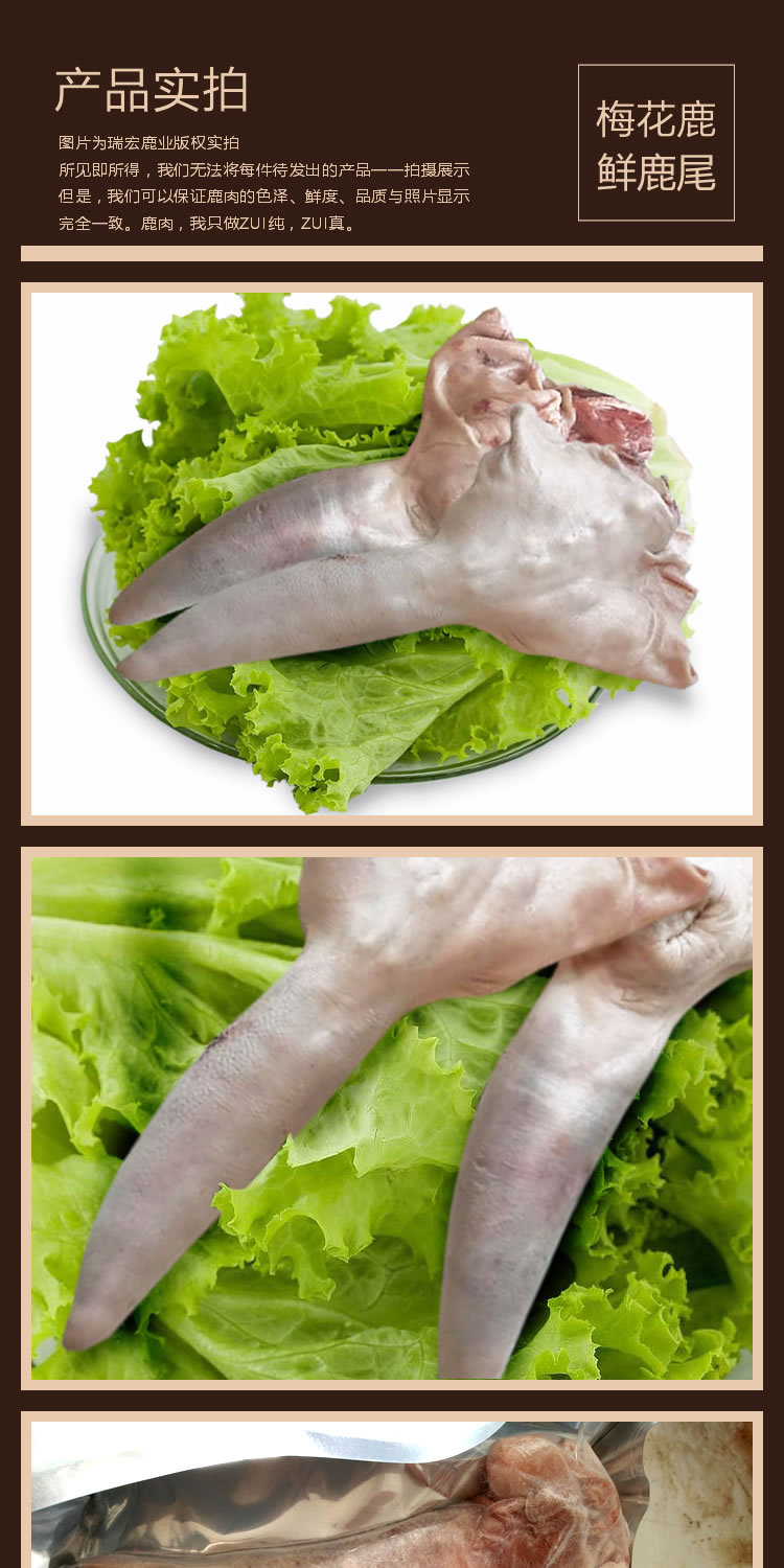 【瑞宏】批发梅花鹿鲜鹿尾巴 带毛尾巴 去毛鹿尾巴鹿场直销