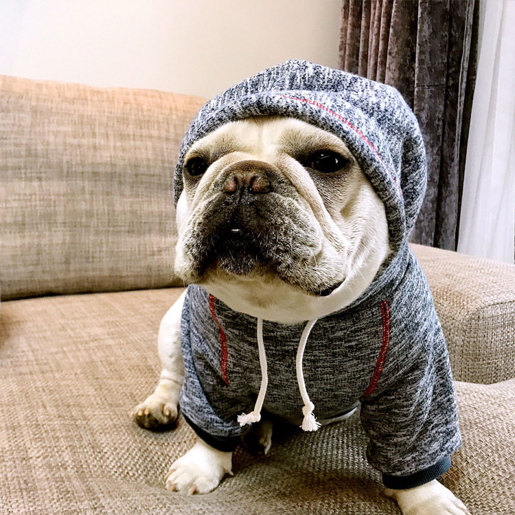 狗狗卫衣2020春季新款狗衣服小型犬加绒连帽宠物衣服 厂家直供